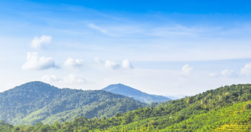 Grow With SAP & Rise With SAP: Accelerating Business Transformation